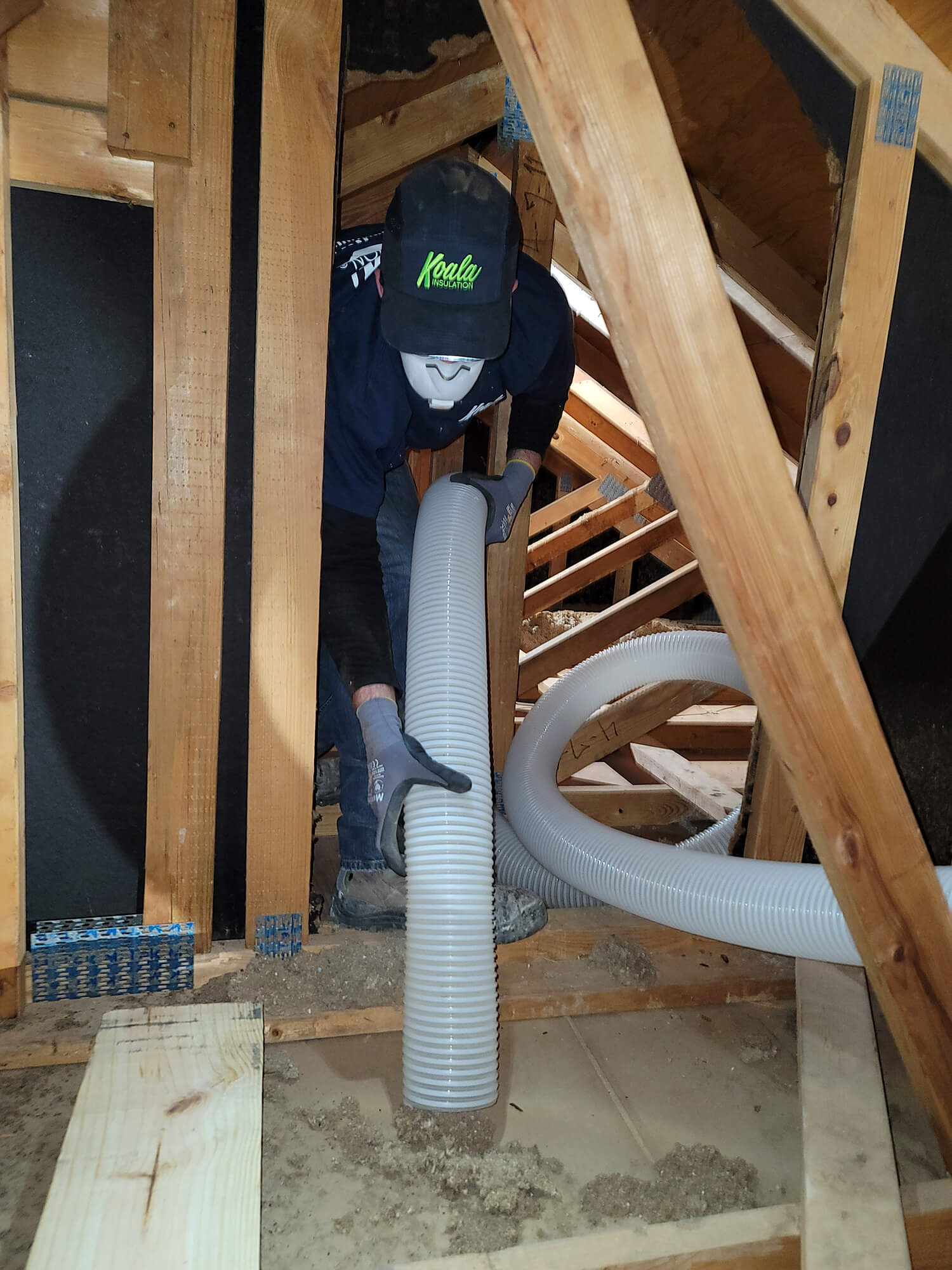 attic insulation removal Southwest Raleigh