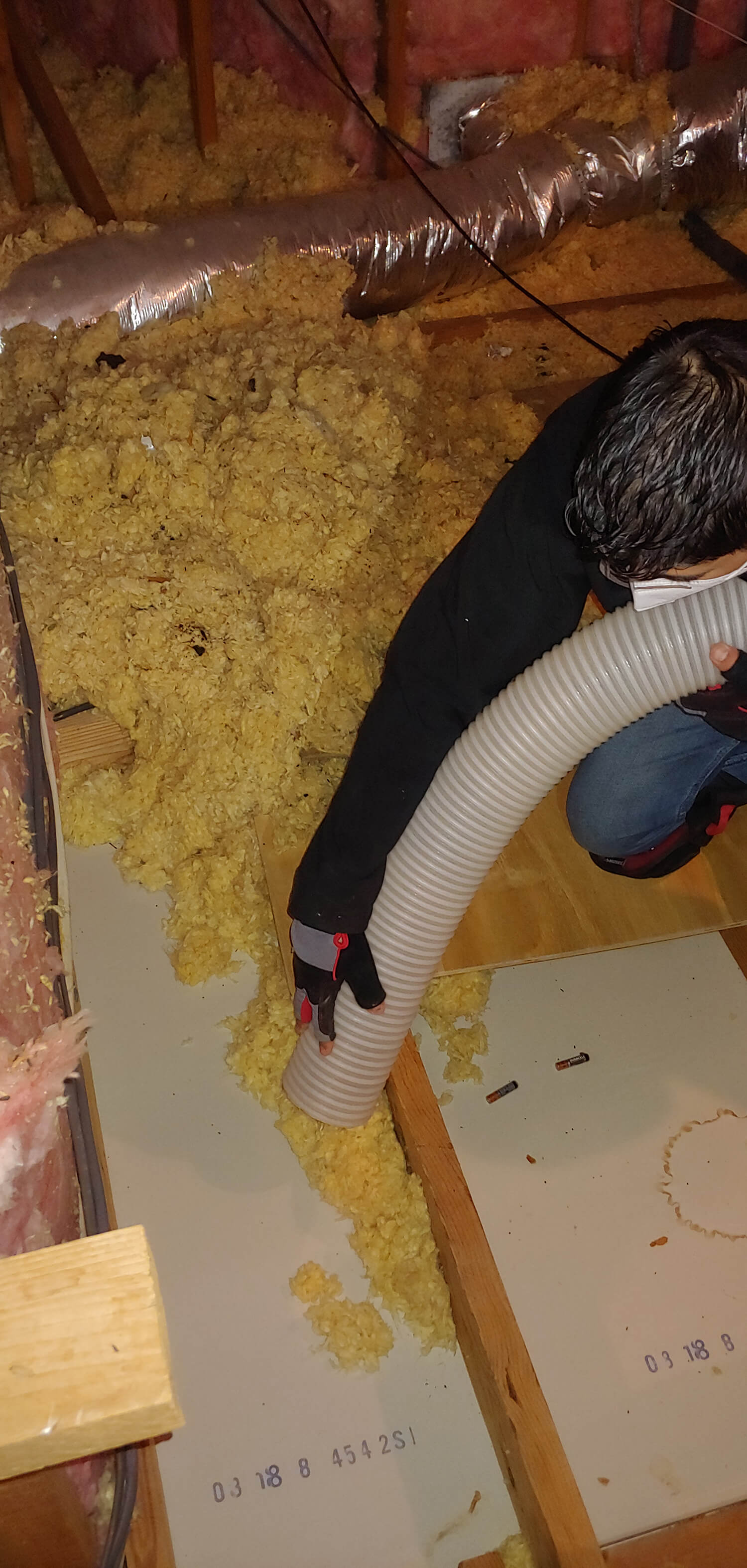 attic insulation removal Coral Springs