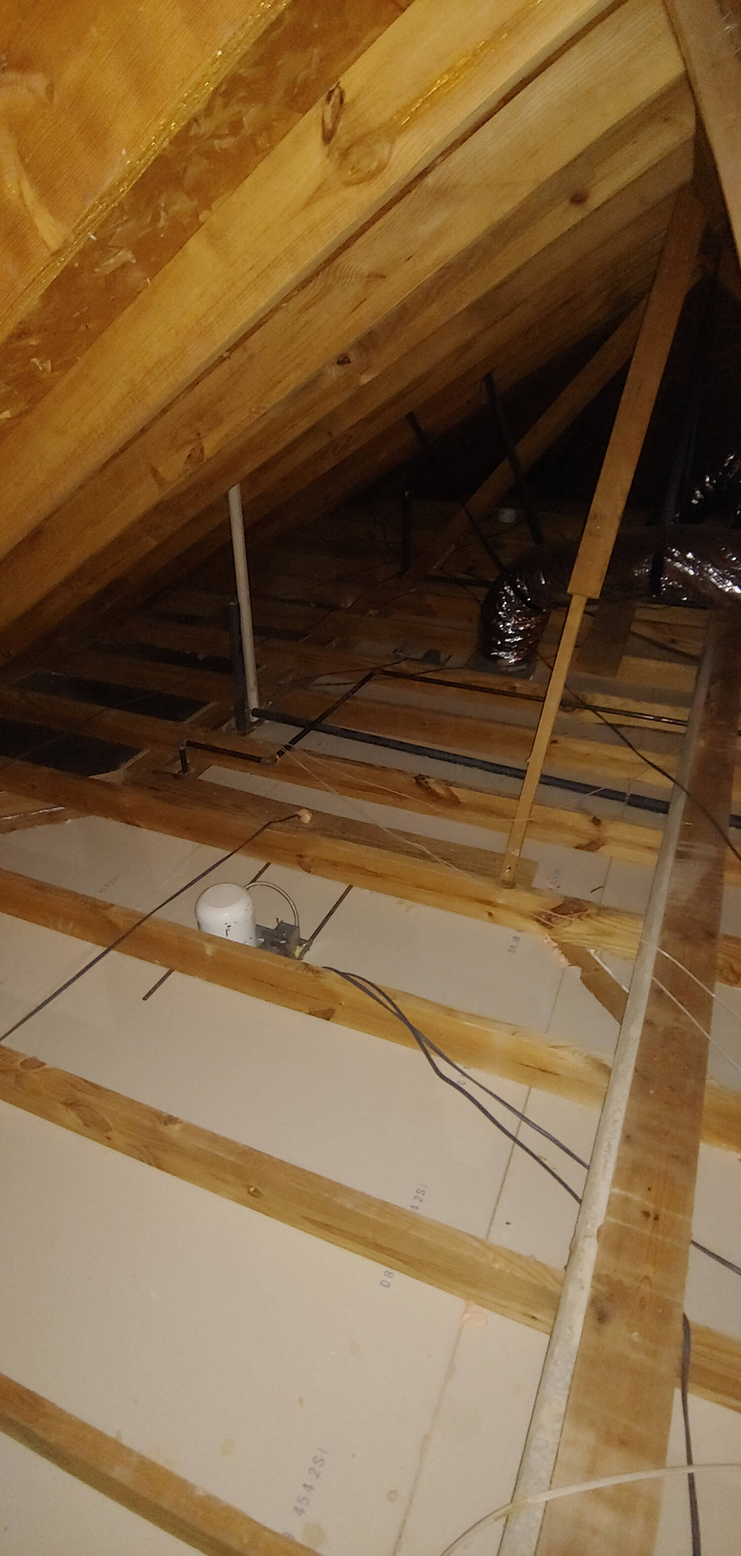 insulation removal Osceloa