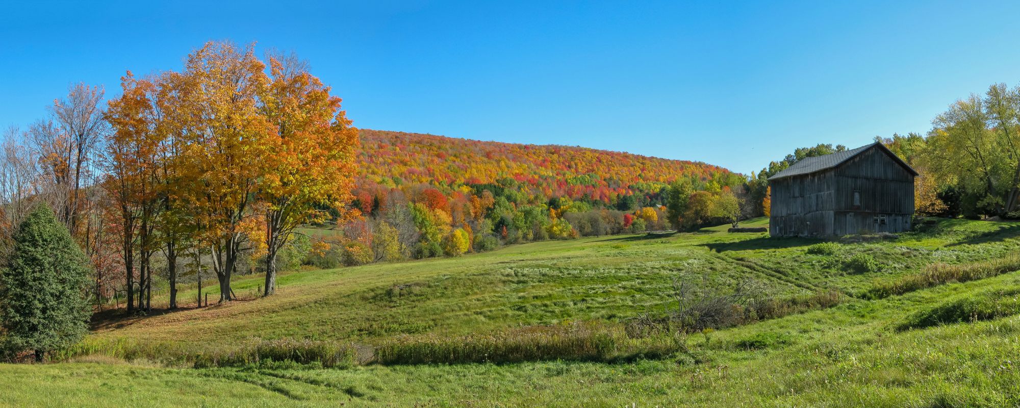 Northwest Pennsylvania c2a8aca7cd84bd45bfc20bc2559fd167.jpg