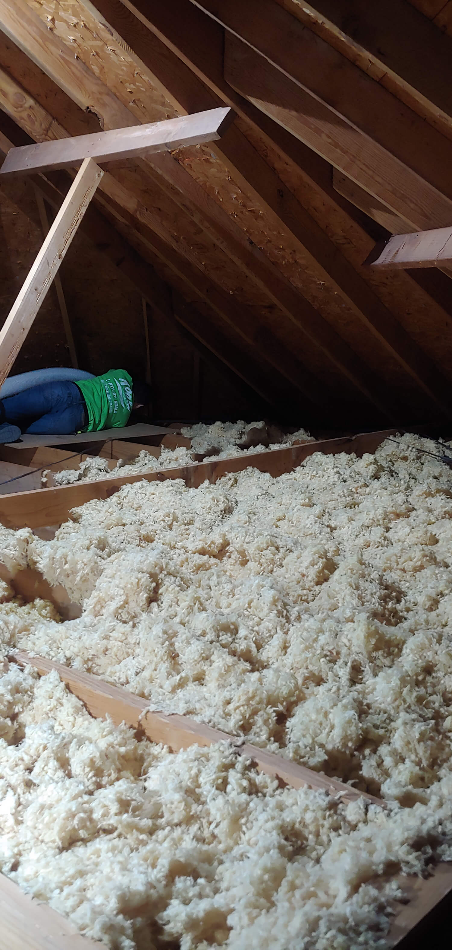 insulation removal North Richmond Hills